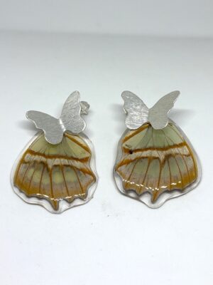 Arete alas topo bronce