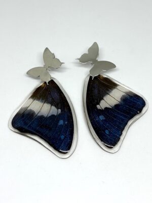 Arete alas topo acero