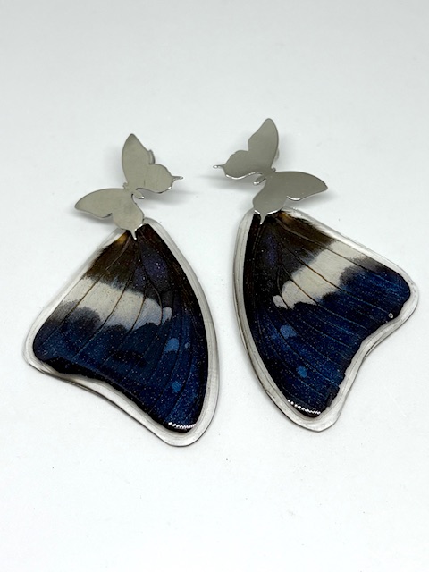 IMG_4567 Arete alas topo acero