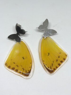 Arete alas topo acero