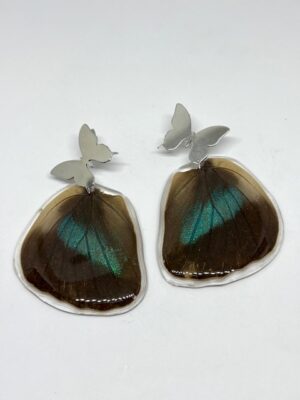 Arete alas topo acero