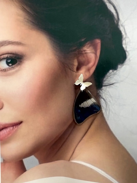 IMG_4588 Arete alas topo acero