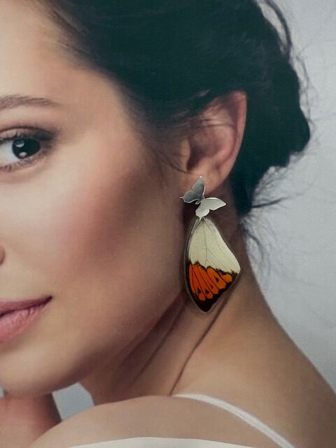 Arete alas topo acero