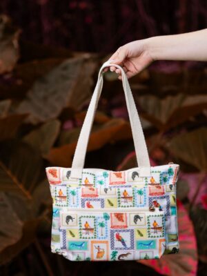 Bolso Pacifico