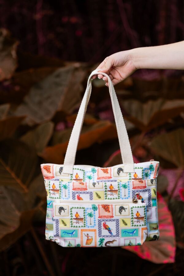 Bolso Pacifico