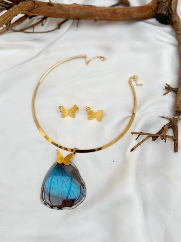 Aro ala de abajo mariposa Morpho peleides