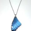collar ala morpho y cadena