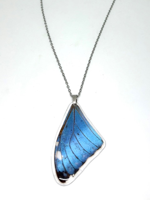collar ala morpho y cadena