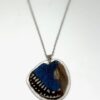 collar ala  y cadena