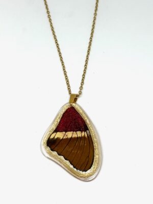collar ala  y cadena
