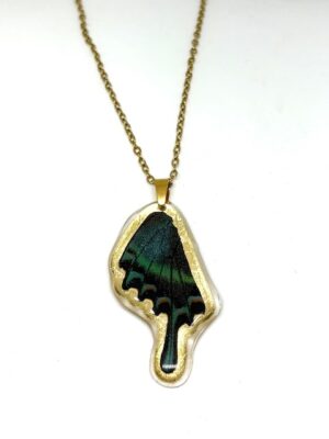 collar ala  y cadena