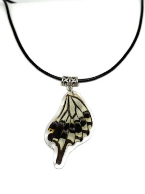 collar ala y cuerito
