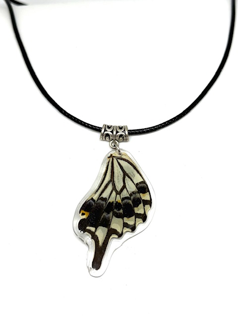 collar ala y cuerito