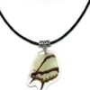 collar ala y cuerito