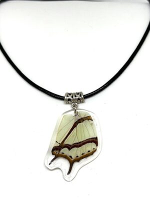 collar ala y cuerito