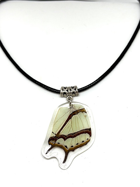 collar ala y cuerito