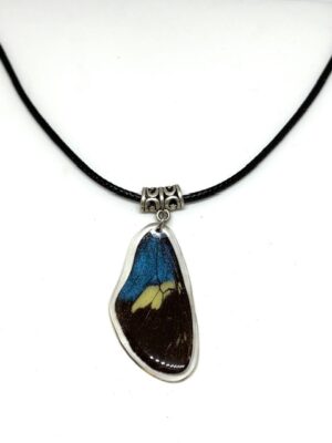 collar ala y cuerito