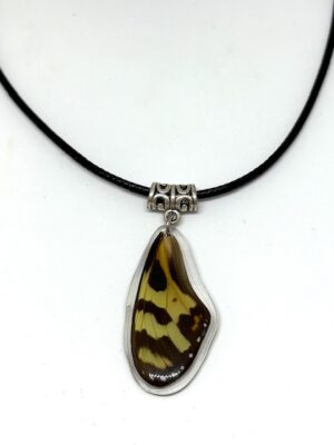 collar ala y cuerito