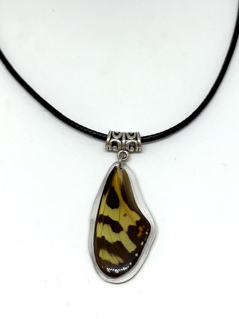 collar ala y cuerito
