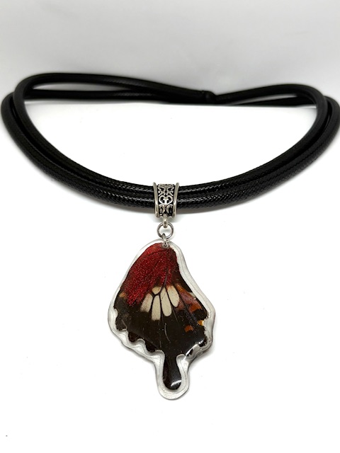 collar ala y cuero grueso