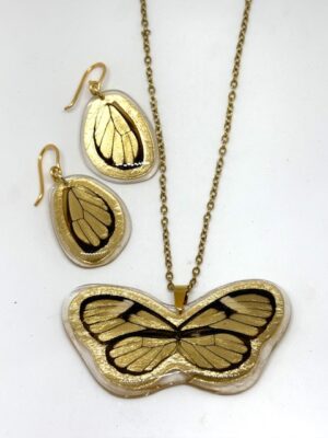 conjunto mariposa entera