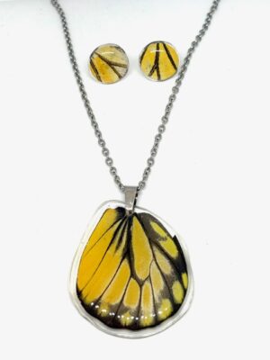 conjunto topos y dije de ala de mariposa