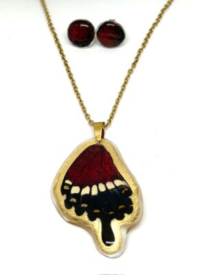 conjunto topos y dije de ala de mariposa
