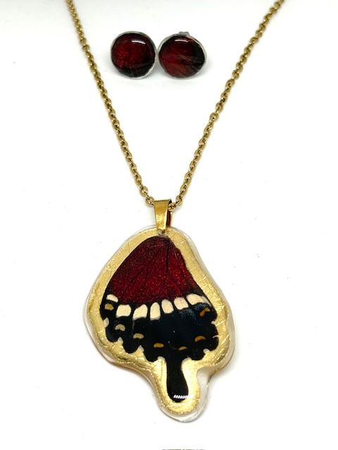 conjunto topos y dije de ala de mariposa