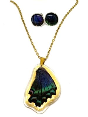 conjunto topos y dije de ala de mariposa