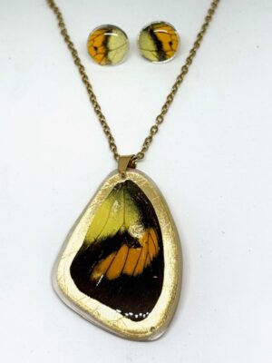 conjunto topos y dije de ala de mariposa