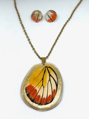 conjunto topos y dije de ala de mariposa