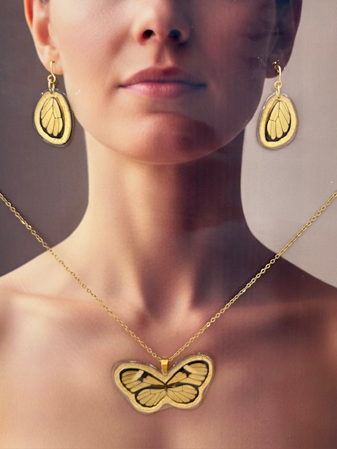 conjunto mariposa entera