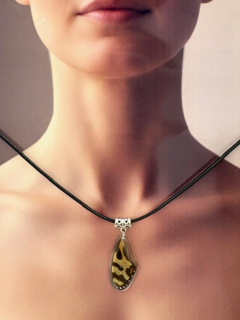 collar ala y cuerito