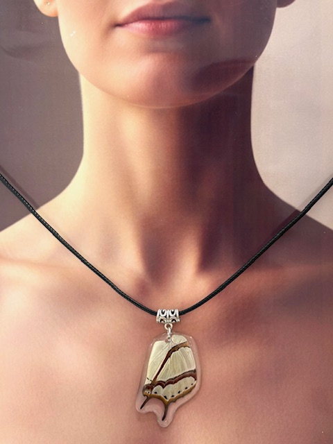 collar ala y cuerito