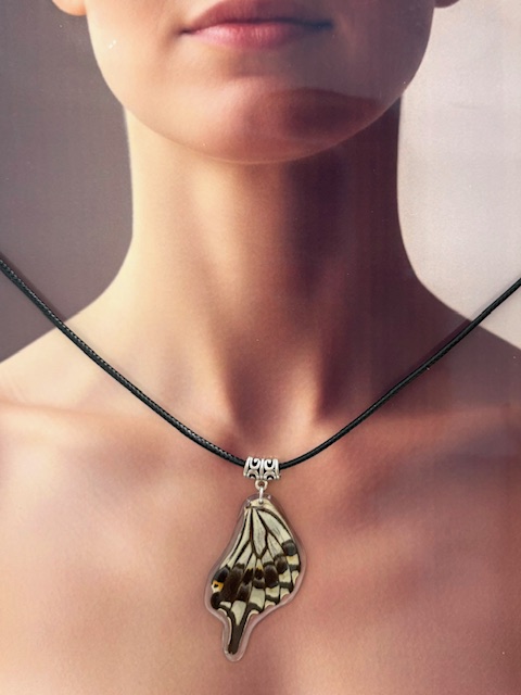 collar ala y cuerito