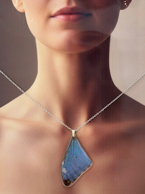 collar ala morpho y cadena