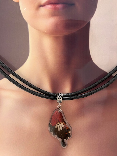 collar ala y cuero grueso