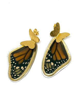 01862882-f038-4e45-81e0-3bab39aefef0 Arete alas monarca
