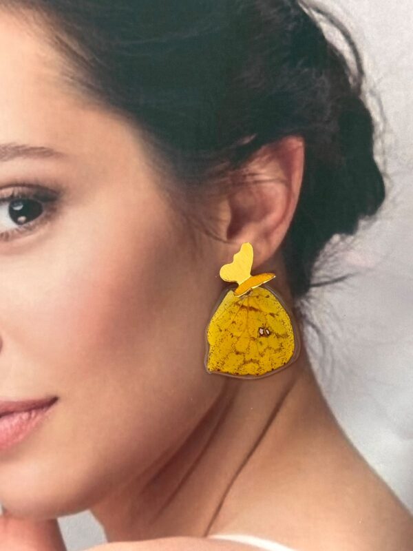 Arete alas amarillas