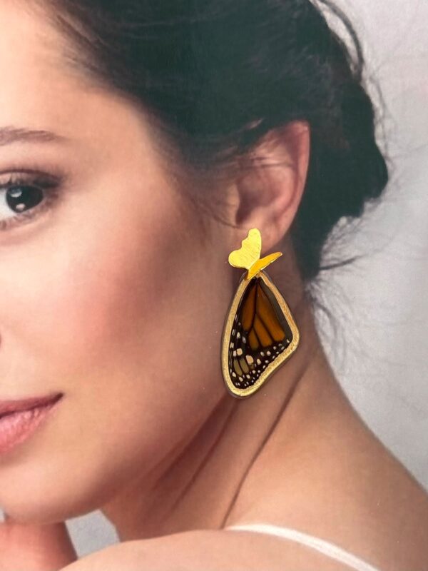 4417a3c5-8587-4468-9436-2baeb581822f Arete alas monarca