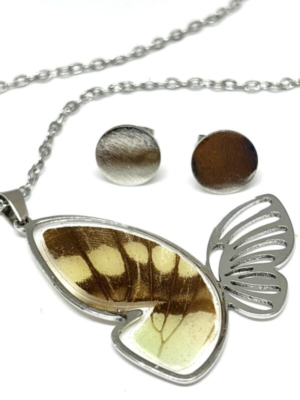 set acero silueta mariposa con alas de mariposa