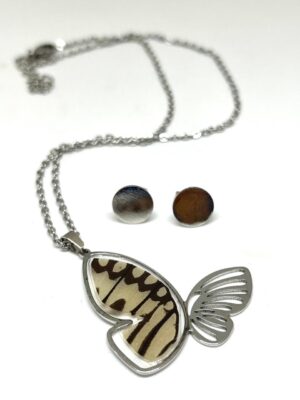 54b34b86-fd1a-4af8-832c-bb00e826a0fa set acero silueta mariposa con alas de mariposa