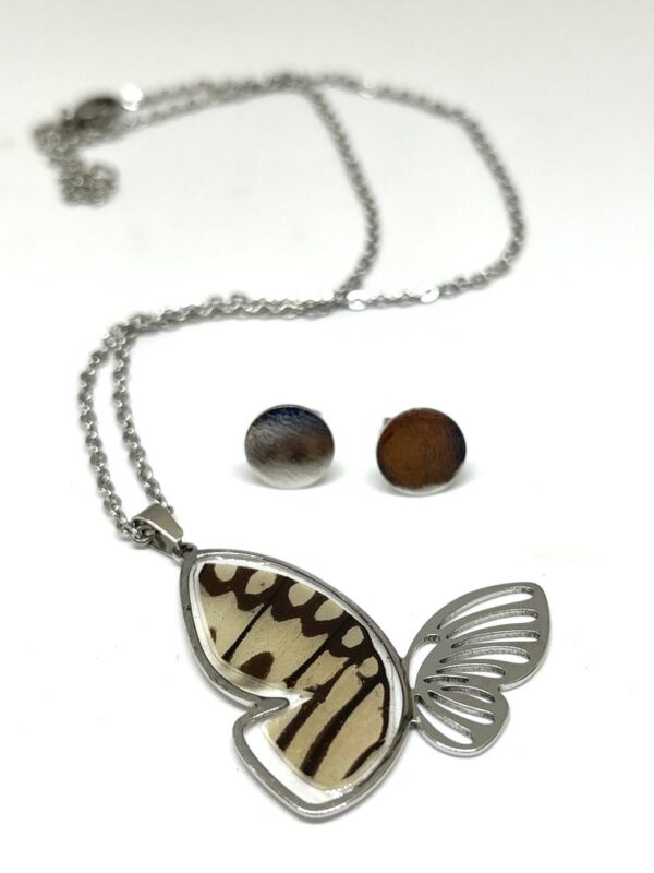 set acero silueta mariposa con alas de mariposa
