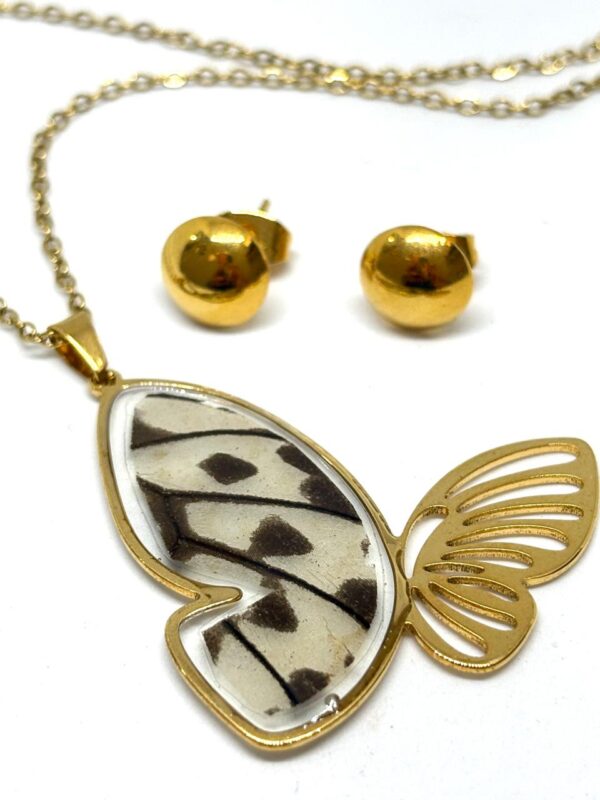 set acero silueta mariposa con alas de mariposa