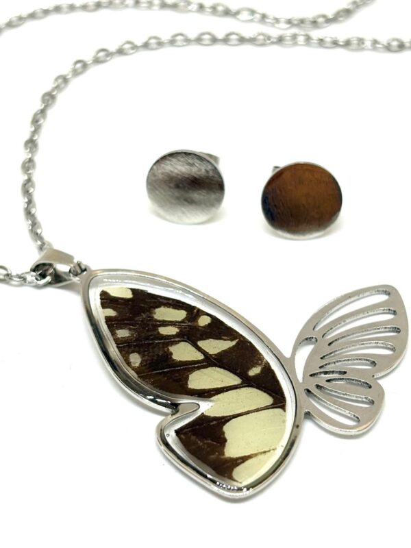 set acero silueta mariposa con alas de mariposa