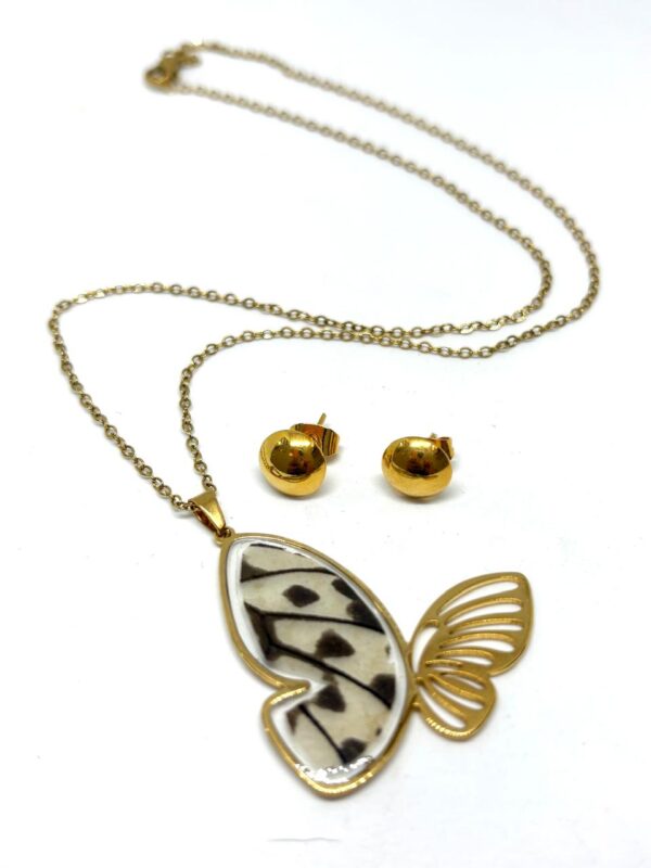 set acero silueta mariposa con alas de mariposa