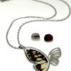 set acero silueta mariposa con alas de mariposa