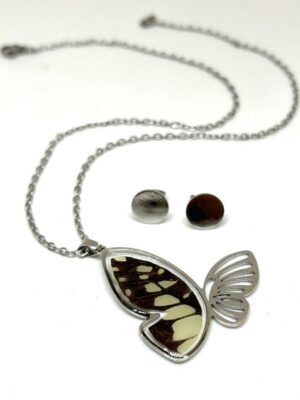 85fc63e0-53e3-4ec2-b68b-9dcdece427ae set acero silueta mariposa con alas de mariposa