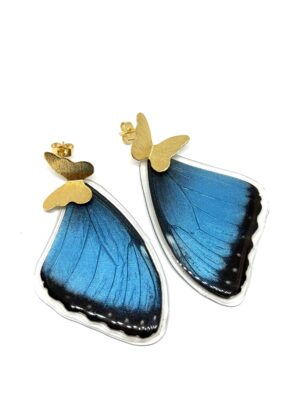 IMG_5154 Arete Alas mariposa Morpho