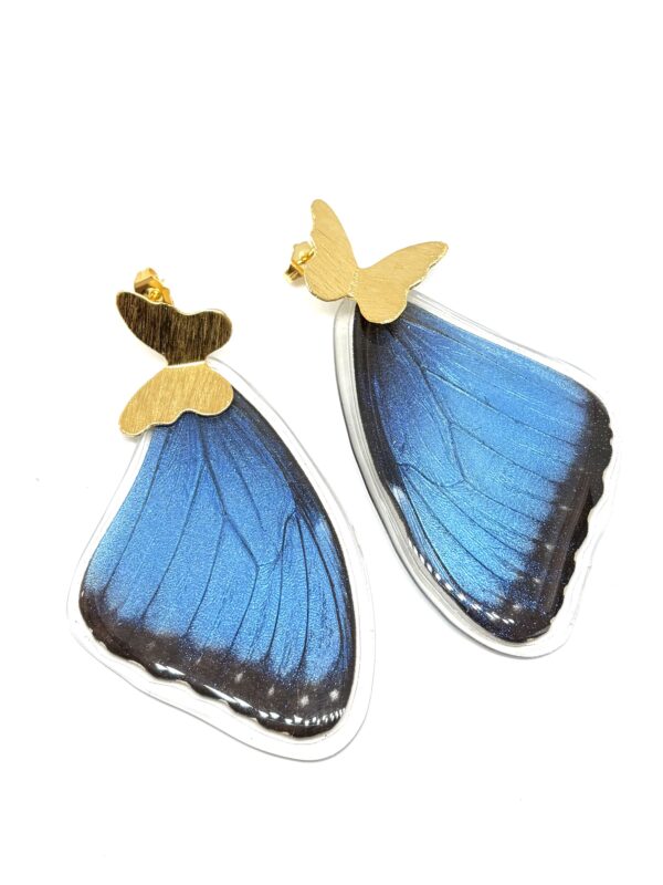 Arete Alas mariposa Morpho